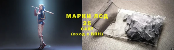 spice Богданович
