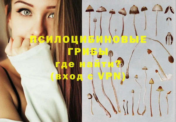 spice Богданович